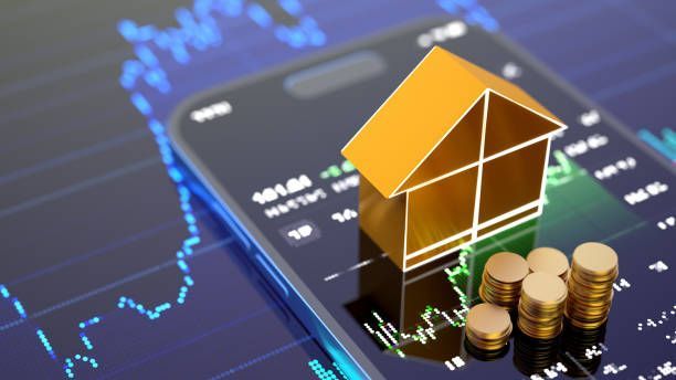 The Gold Standard: Professional Asset Optimization